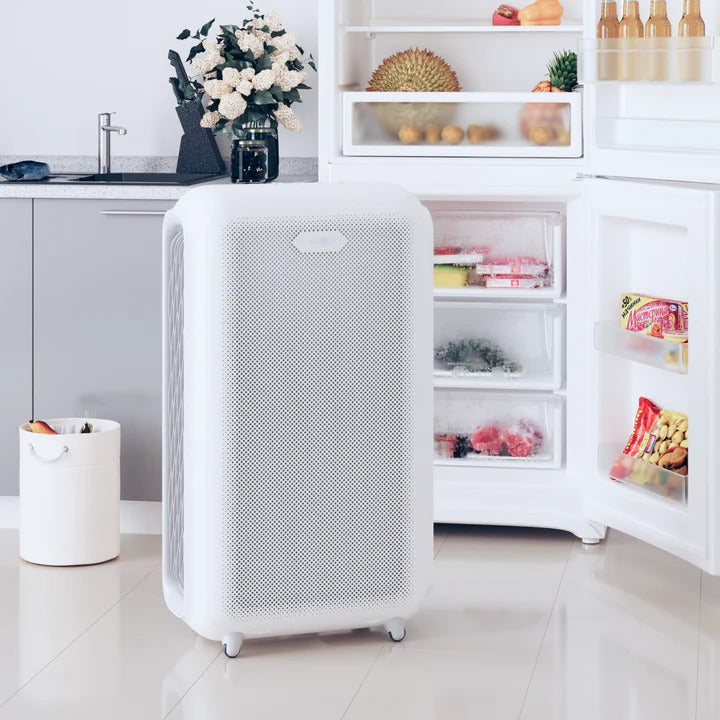 BM300 - Air Purifier